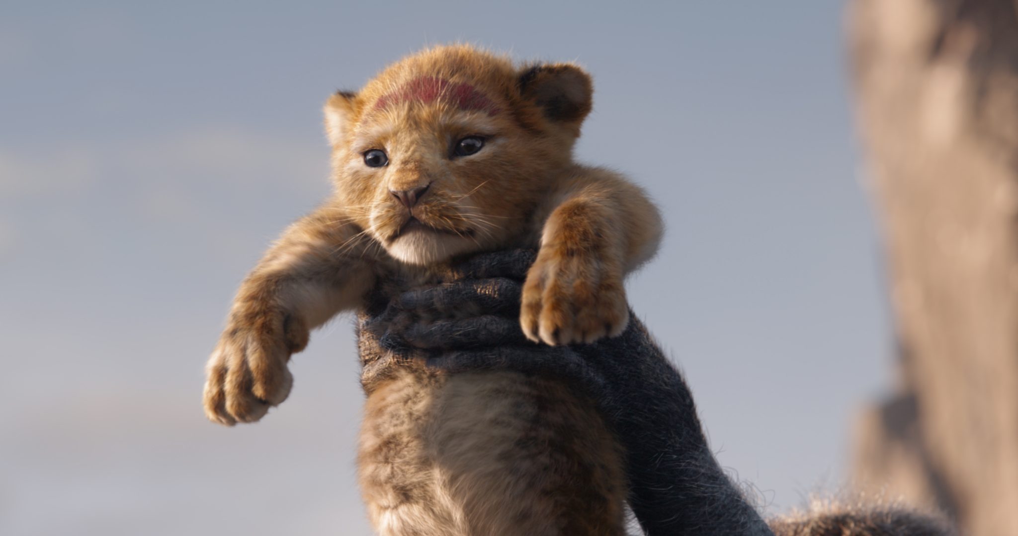 The Lion King. © 2019 Walt Disney Studios. All rights reserved. VFX by MPC Film
